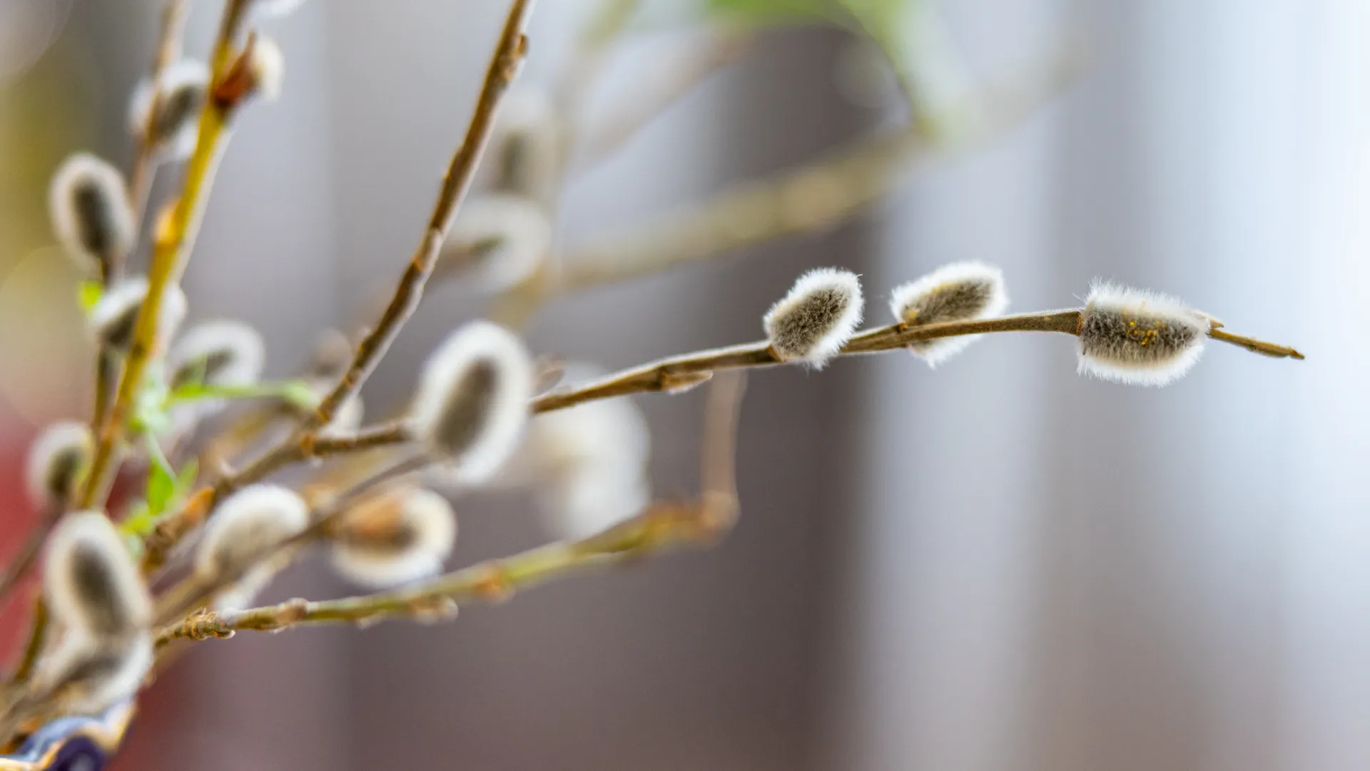 Фото: Александр Чирва / «Ямал-Медиа»