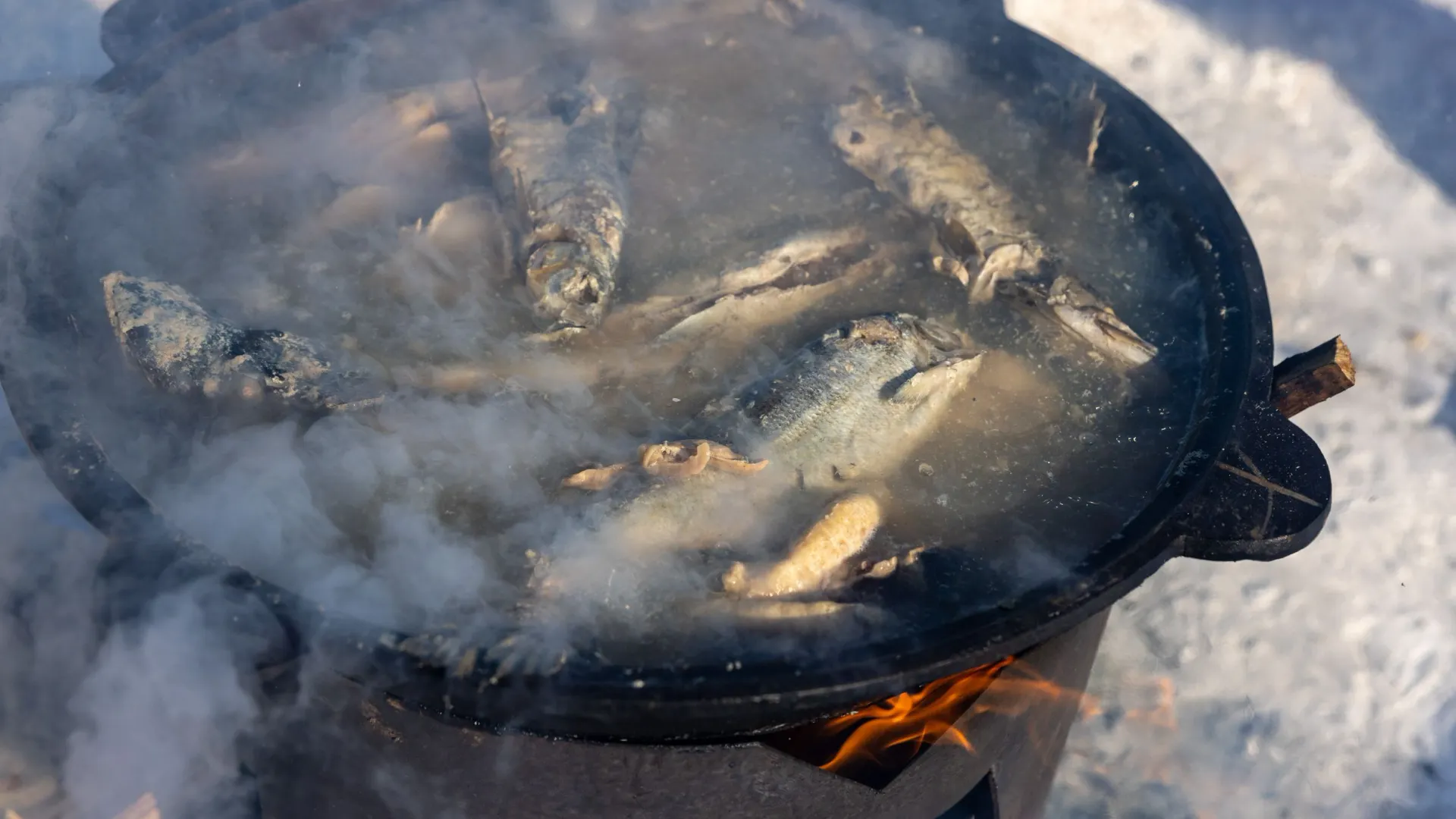 Фото: Федор Воронов / «Ямал-Медиа»