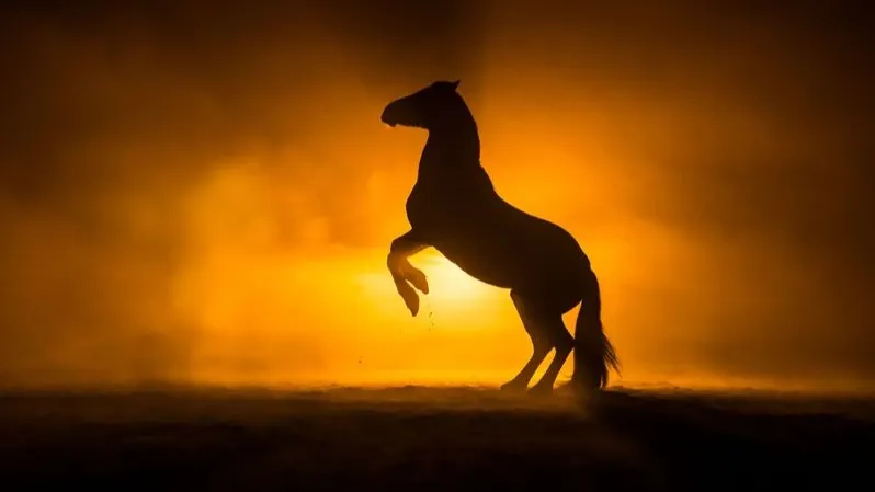 Фото: PIC by Femke / Shutterstock / Fotodom