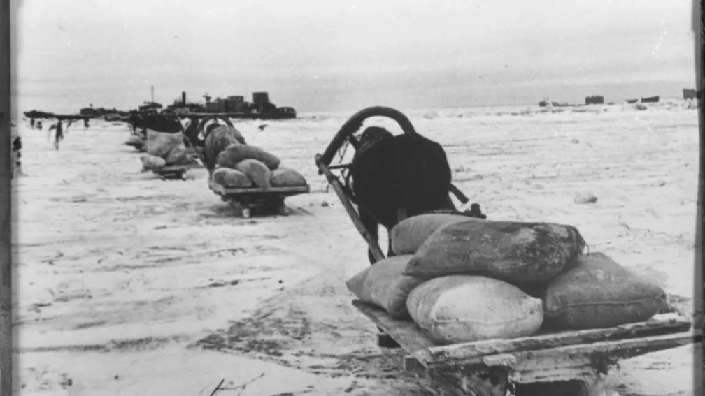Фотографии Всеволода Тарасевича