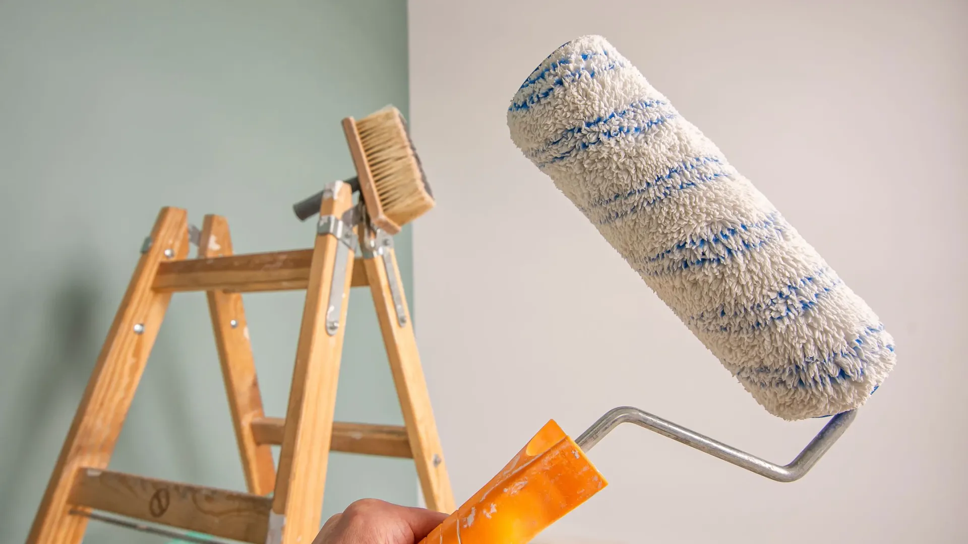 Фото: Tomasz Warszewski/Shutterstock/Fotodom