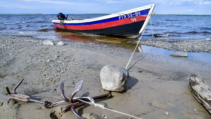 Фото: Андрей Ткачев / «Ямал-Медиа»