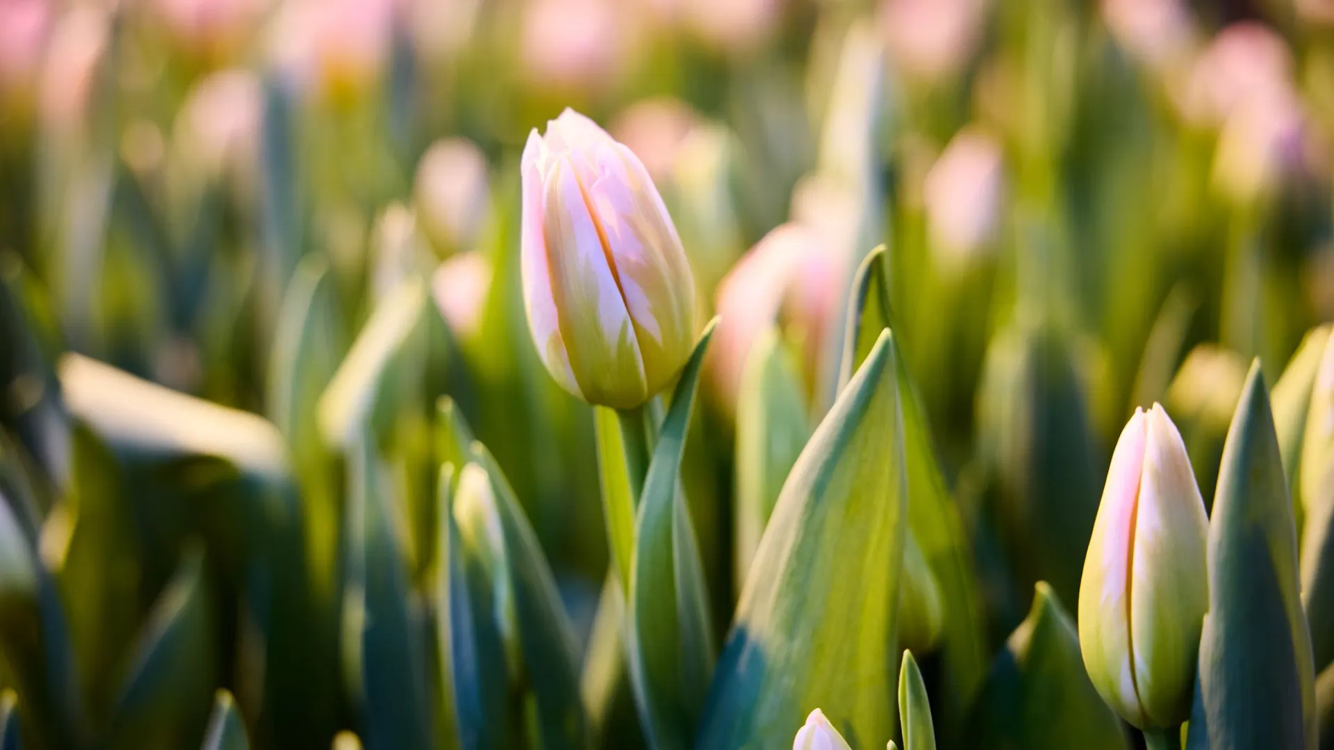 Фото: Юрий Здебский / «Ямал-Медиа»