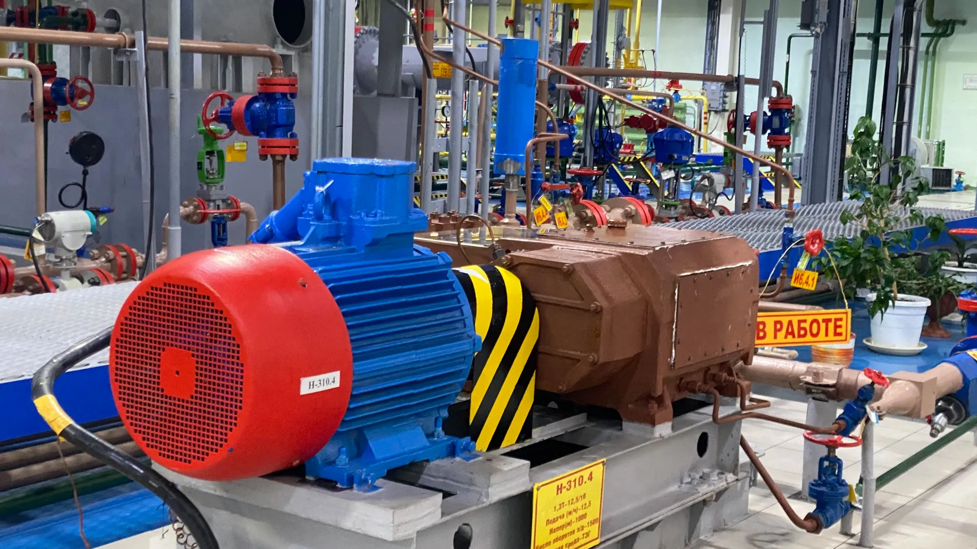 Фото: пресс-служба ООО «Газпром добыча Ноябрьск»