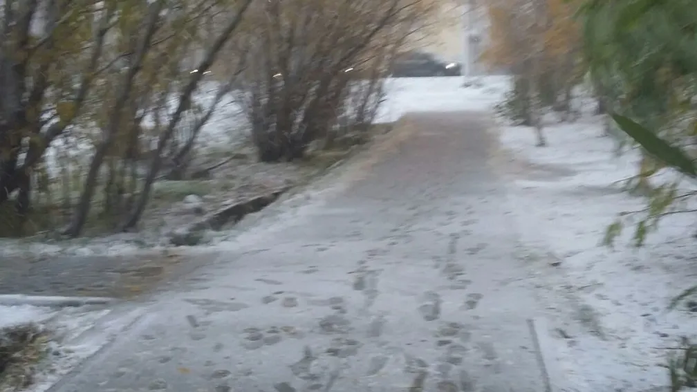 Фото ИА «Север-Пресс»