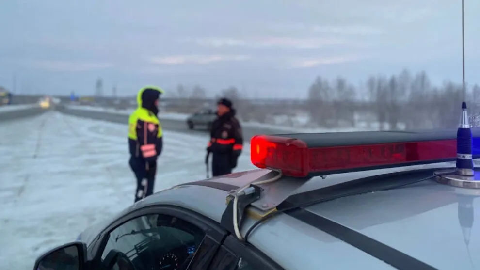 Фото: Роман Земсков/ ИА «Север-Пресс» 
