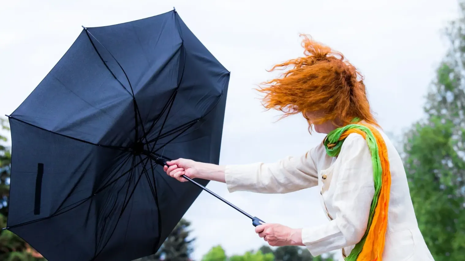 Фото: Rainer Fuhrmann / Shutterstock / Fotodom