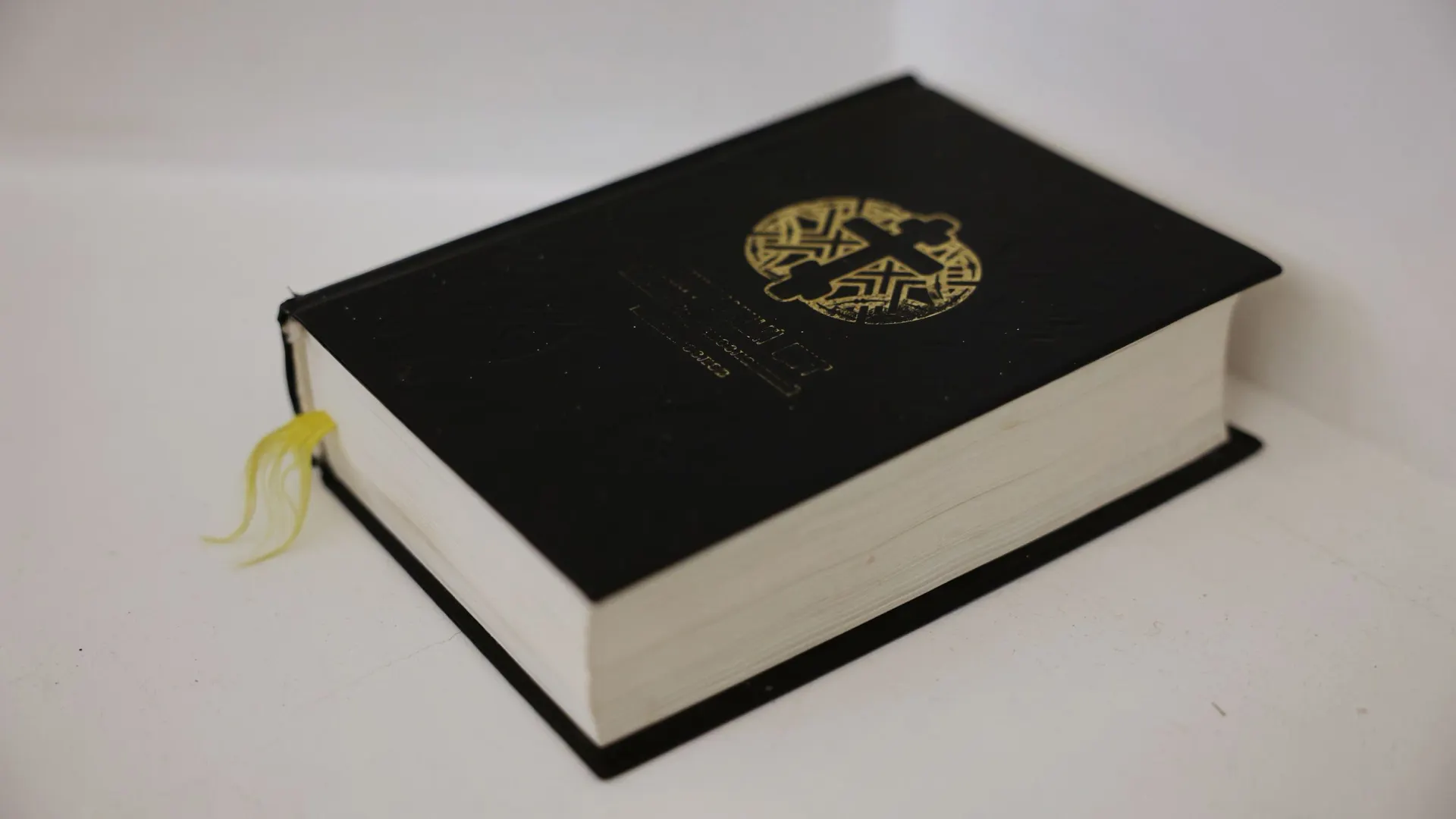 Фото: Андрей Ткачев / «Ямал-Медиа»