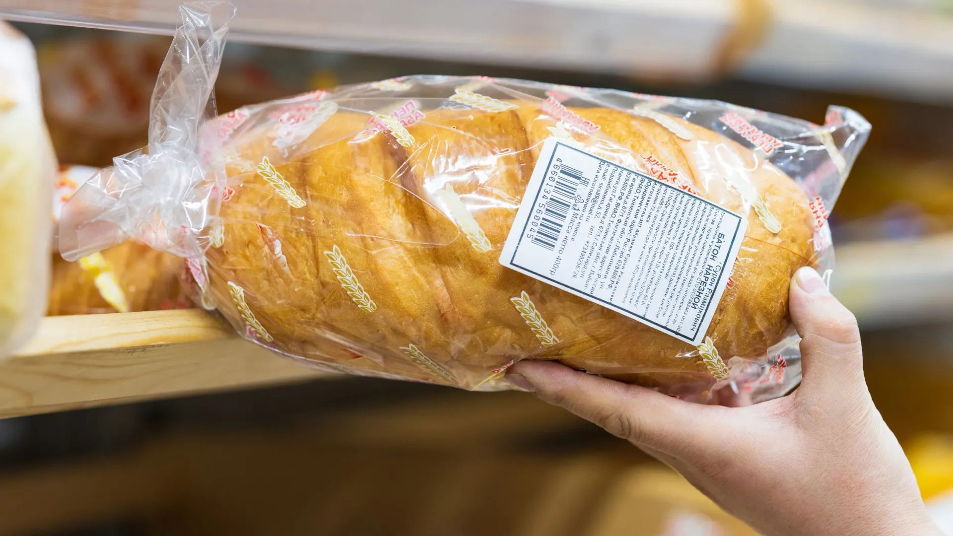 Фото: Федор Воронов / «Ямал-Медиа»