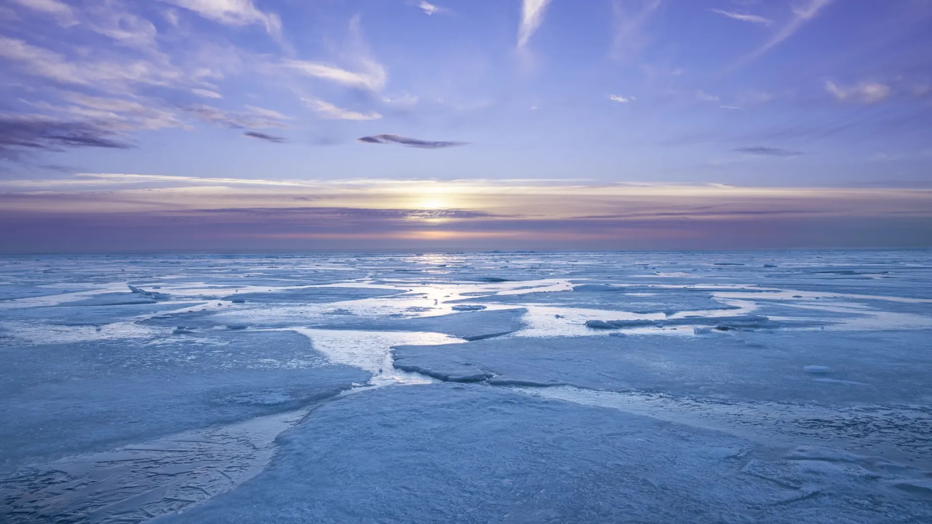 Фото: Gear_mike/Shutterstock/Fotodom