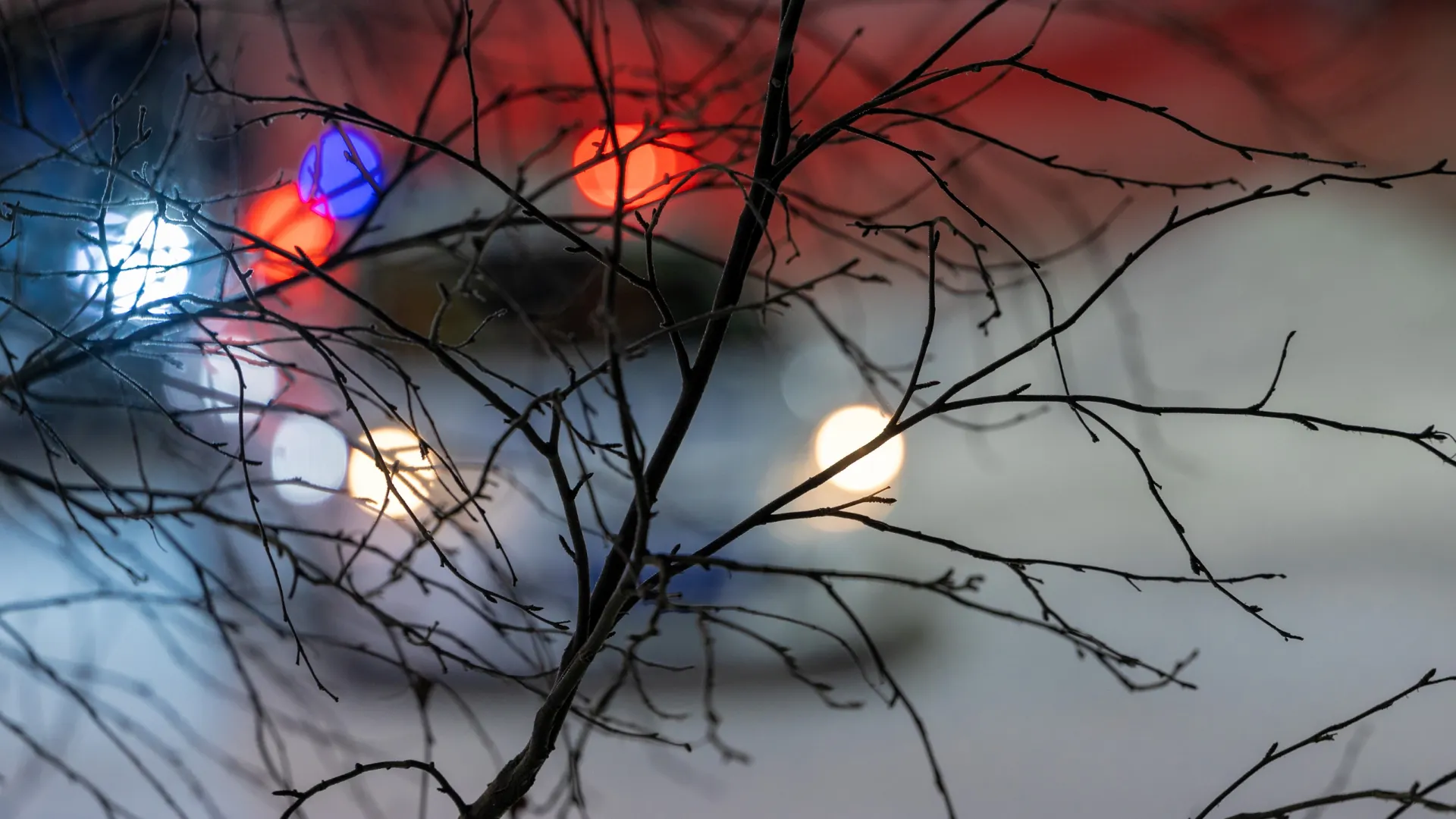 Фото: Федор Воронов / «Ямал-Медиа»