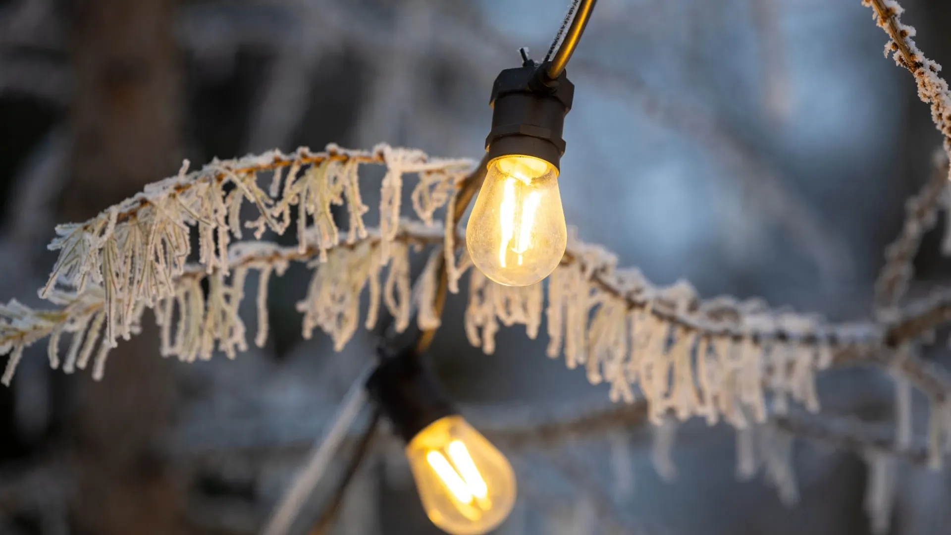 Фото: Александр Чирва / «Ямал-Медиа»