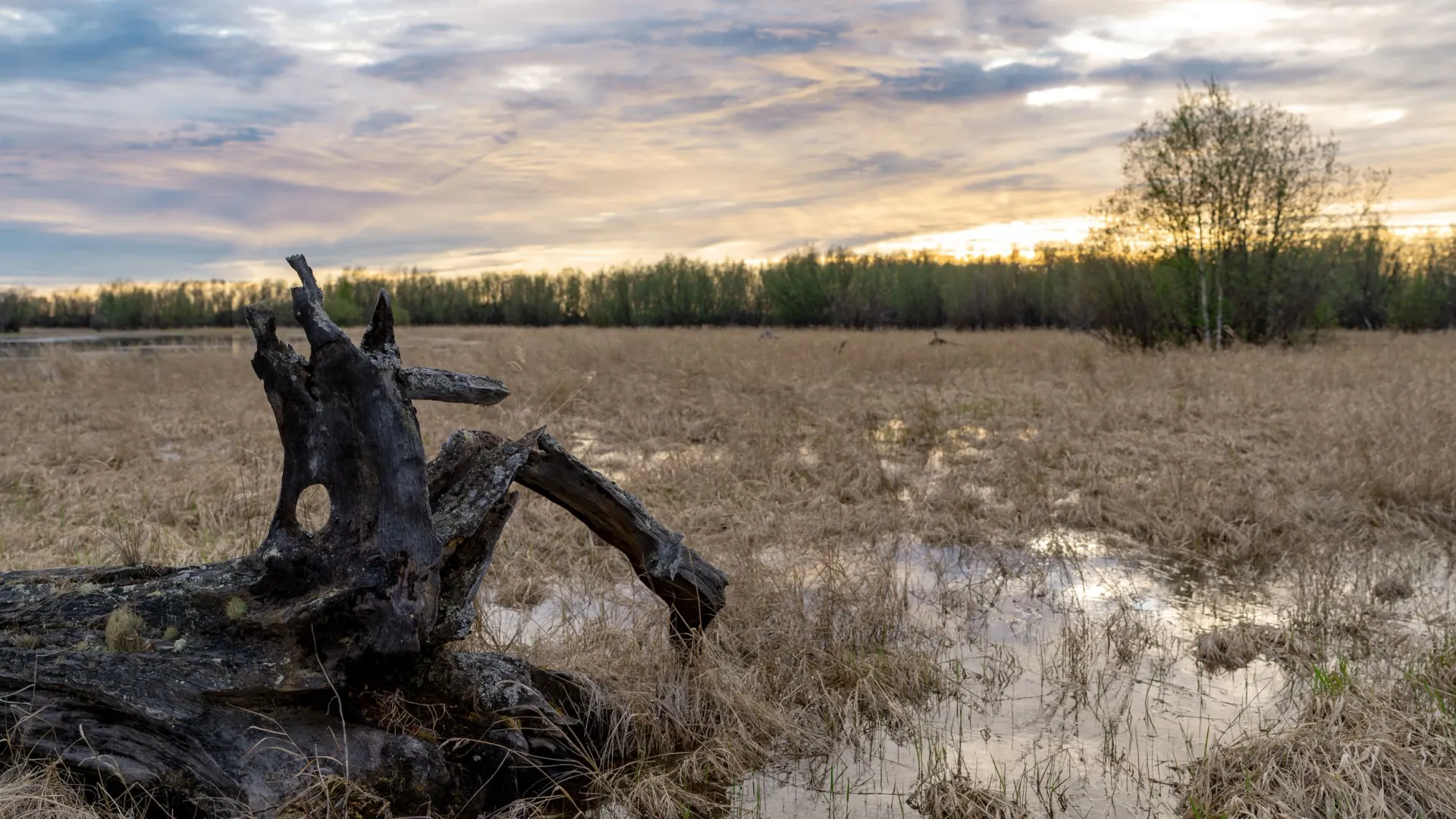 Картина «Вода, кругом вода, или На Ямале наконец растаял снег». Фото: Сергей Зубков / «Ямал-Медиа»