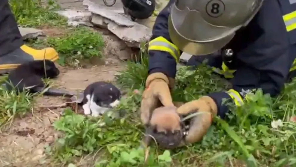Фото с видео, предоставленного аккаунтом Андрея Воронова «ВКонтакте»