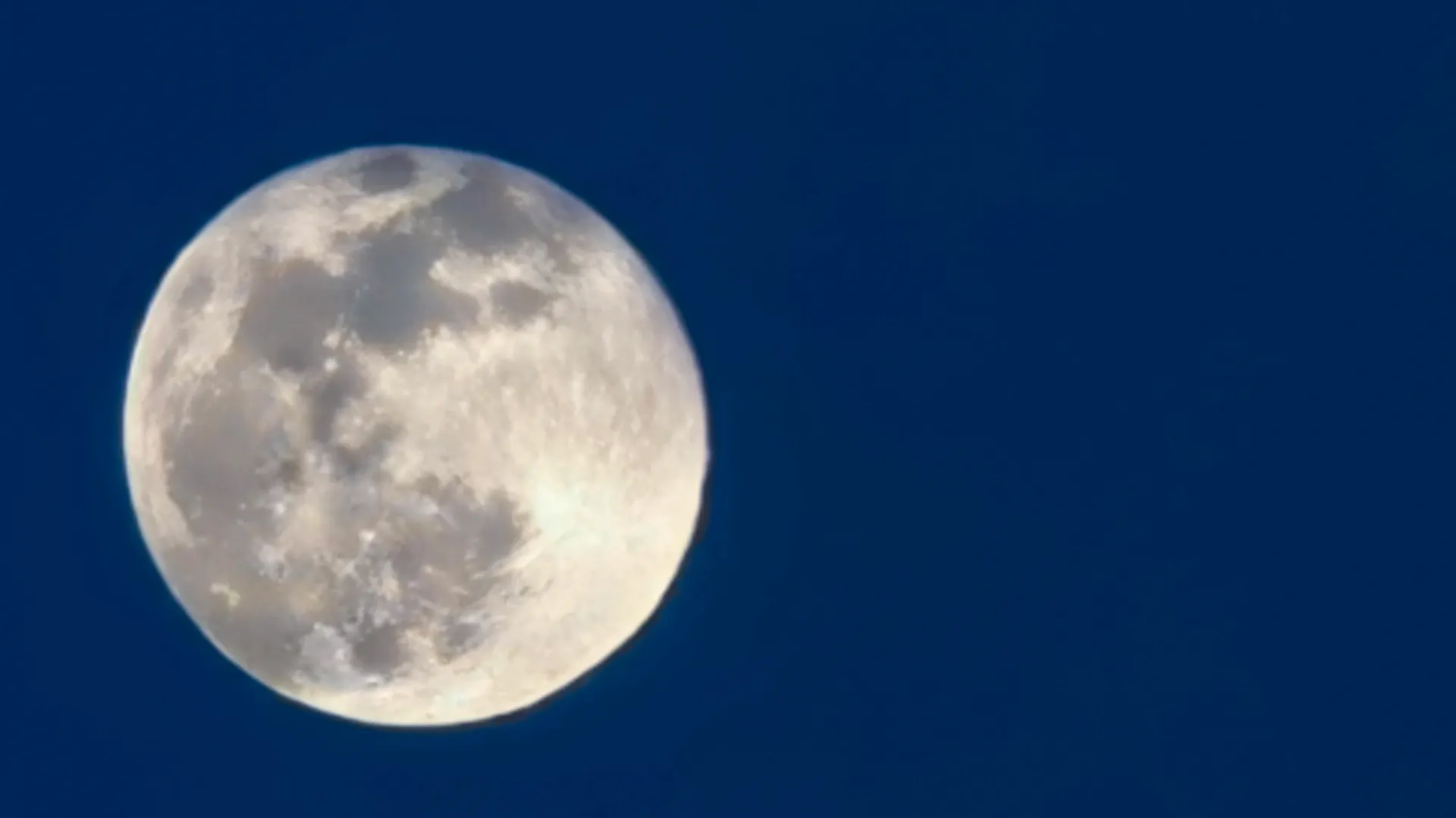 Фото: Андрей Ткачев / «Ямал-Медиа»