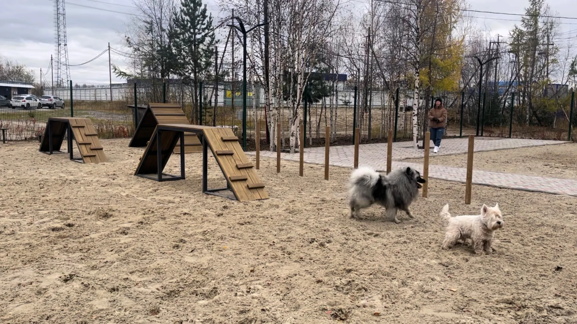 Фото предоставлено пресс-службой губернатора ЯНАО