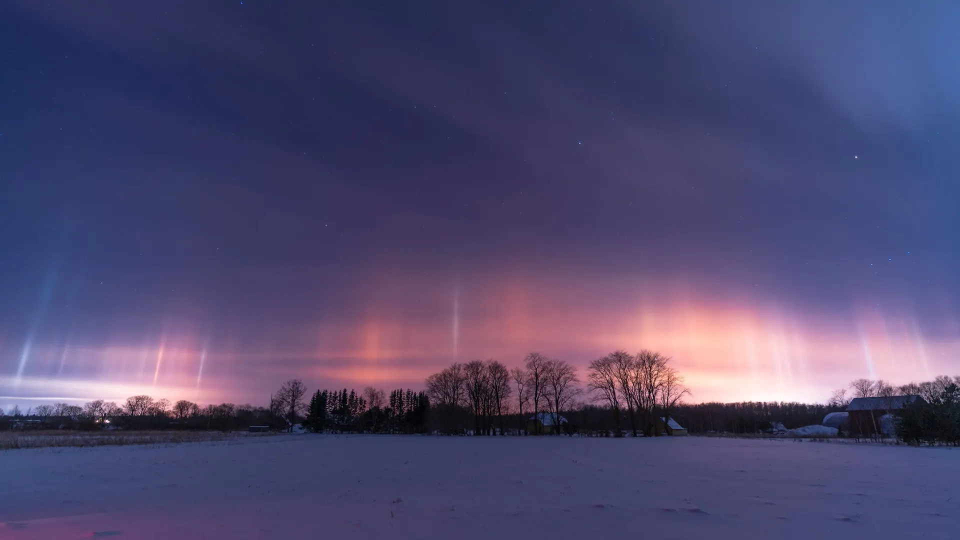 Фото: ShurikAK/Shutterstock/Fotodom