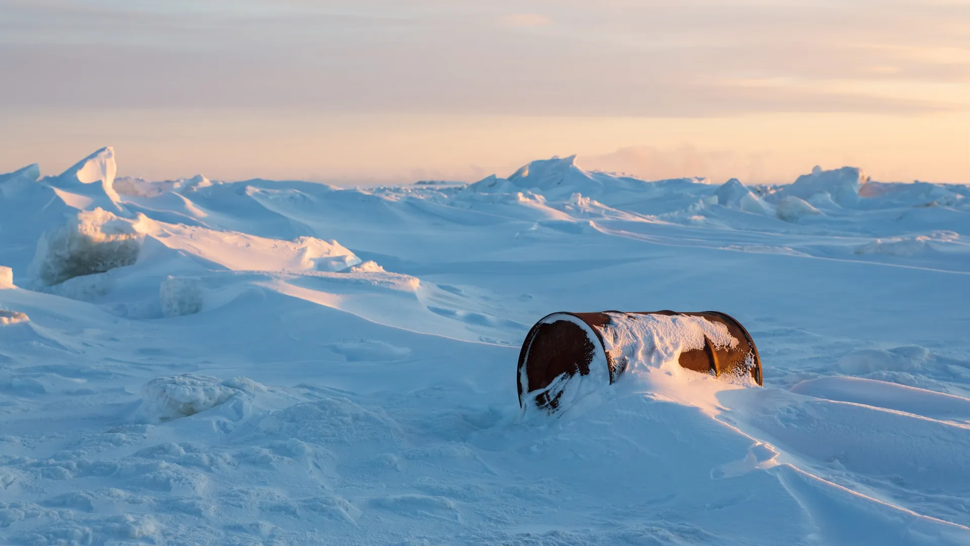 Фото: Andrei Stepanov / Shutterstock / Fotodom