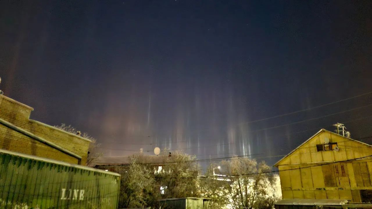 Фото: Елена Миленина