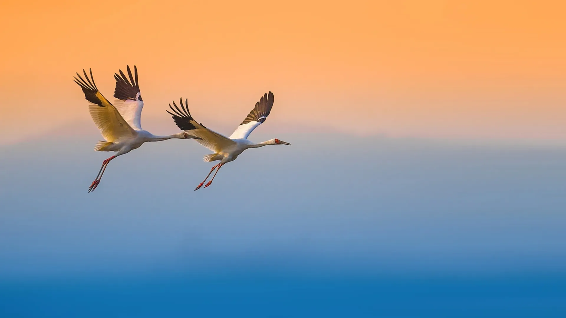 Фото: Wang LiQiang / Shutterstock / Fotodom