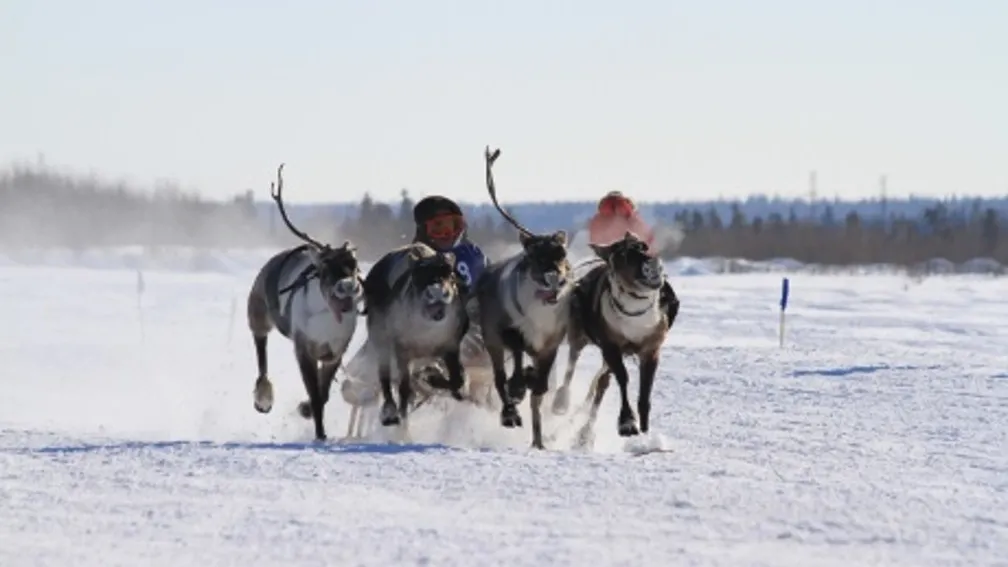 Фото с сайта nadymregion.ru