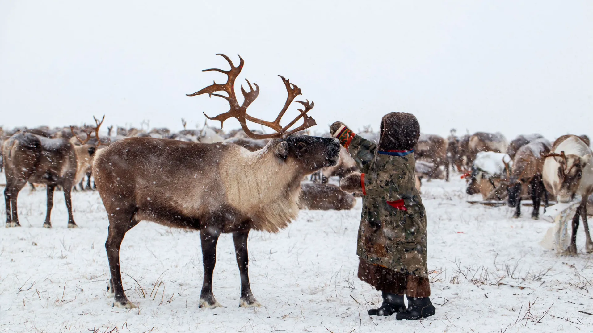 Фото: evgenii mitroshin / Shutterstock / Fotodom