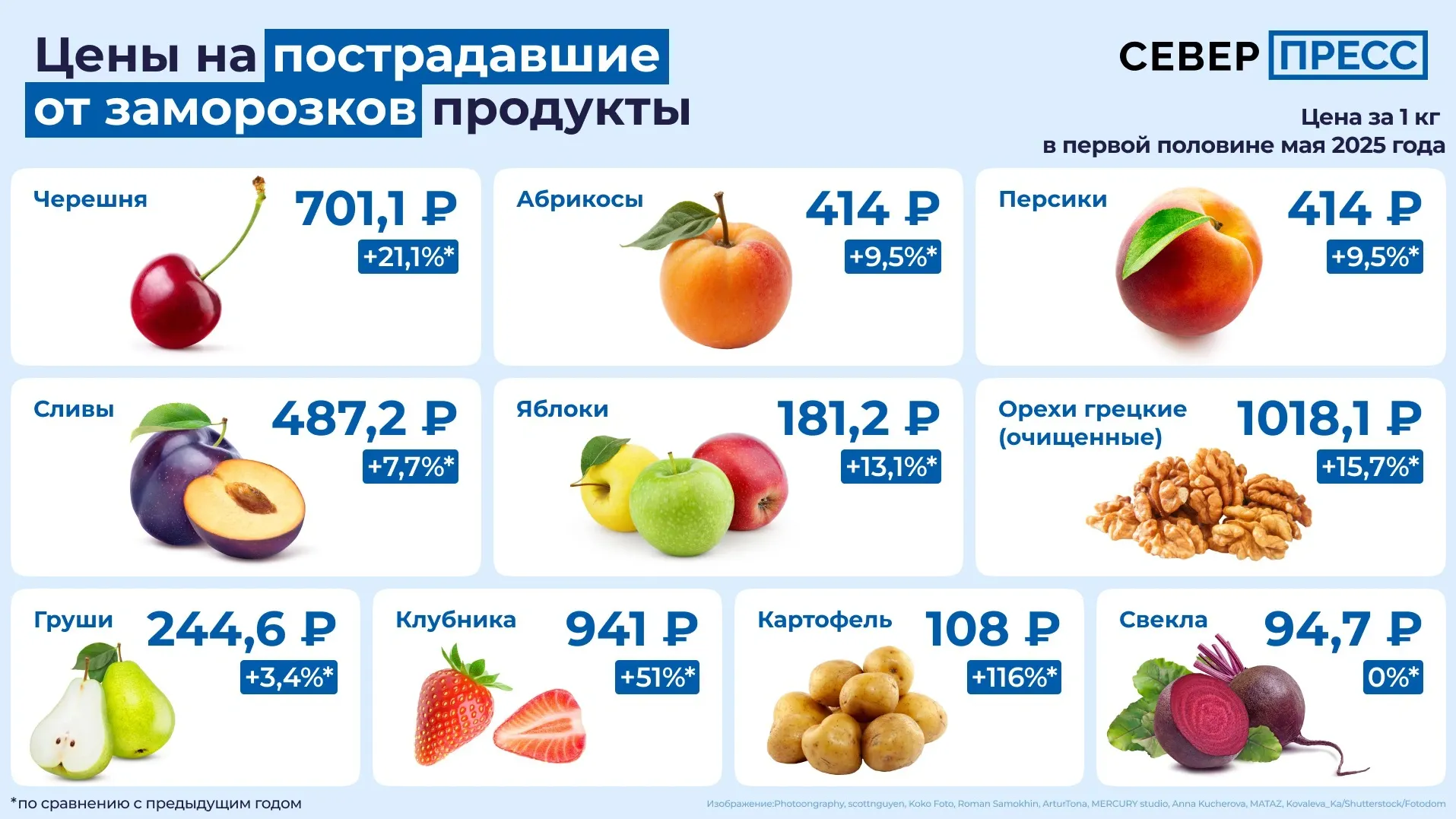 Инфографика Татьяны Бояриновой / «Ямал-Медиа»