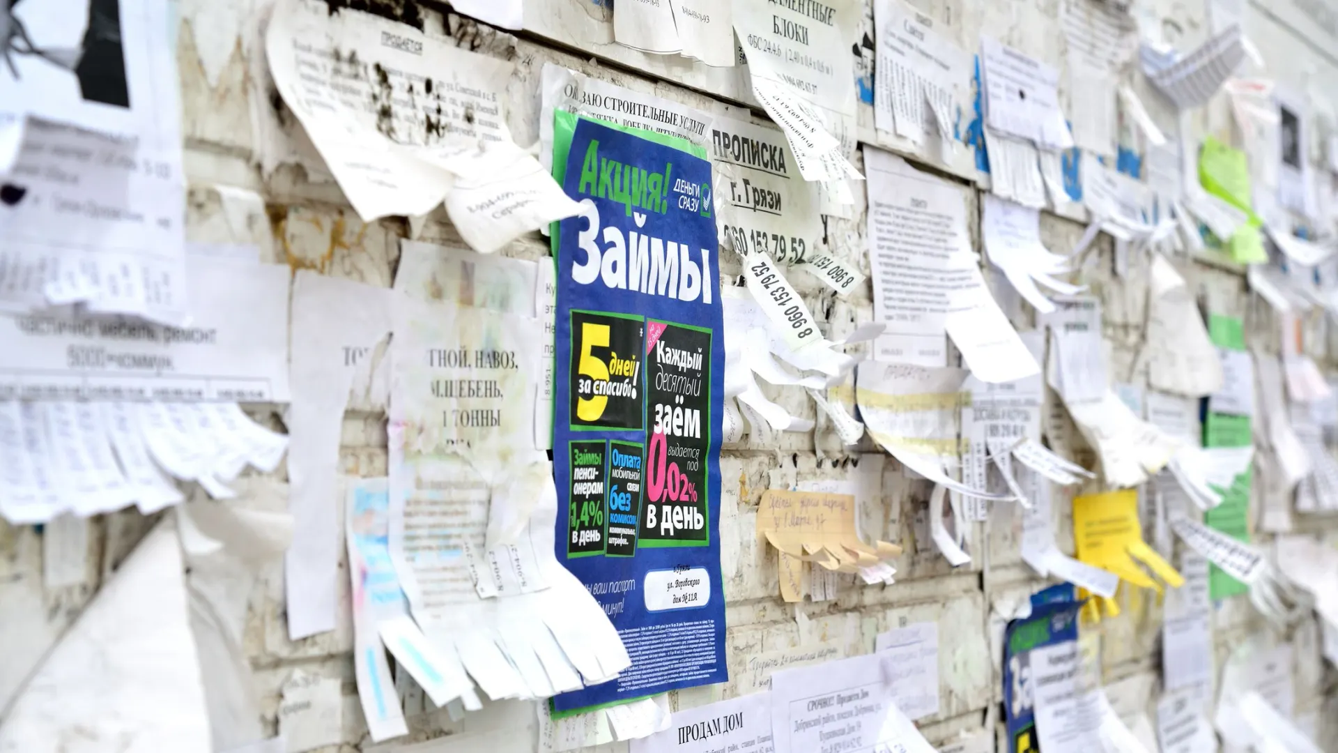 Фото: BestPhotoPlus/Shutterstock/Fotodom