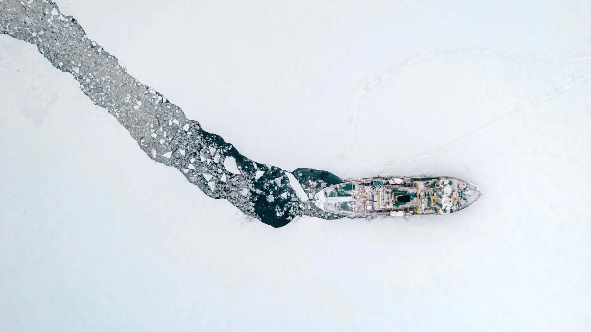 Фото: maks_ph/Shutterstock/Fotodom