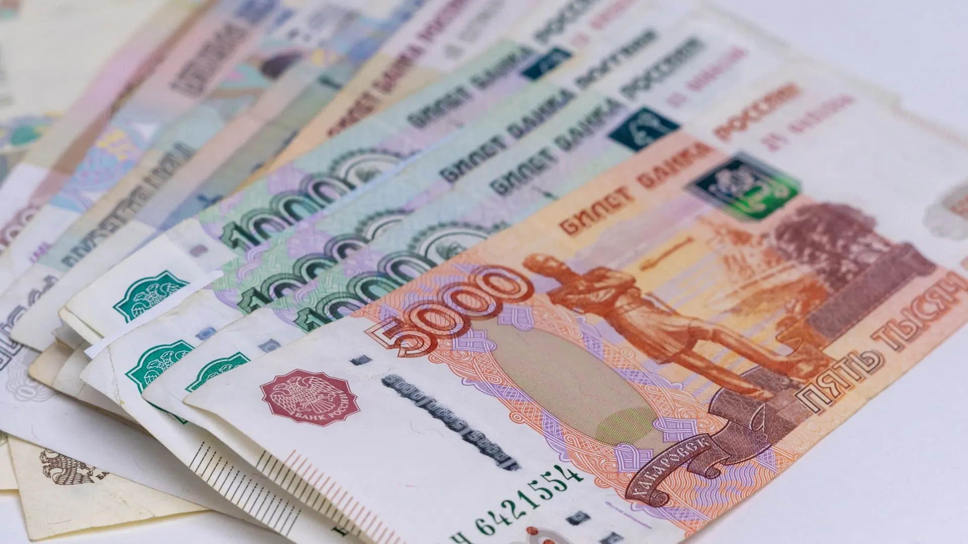 Фото: Сергей Зубков / «Ямал-Медиа»