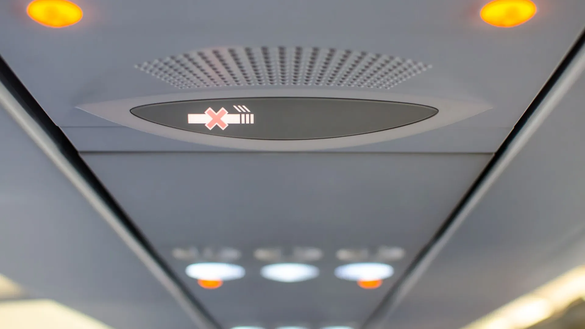 Фото: migrean/Shutterstock/Fotodom