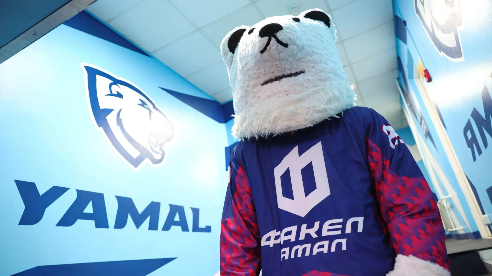 Фото: Андрей Ткачев / «Ямал-Медиа»