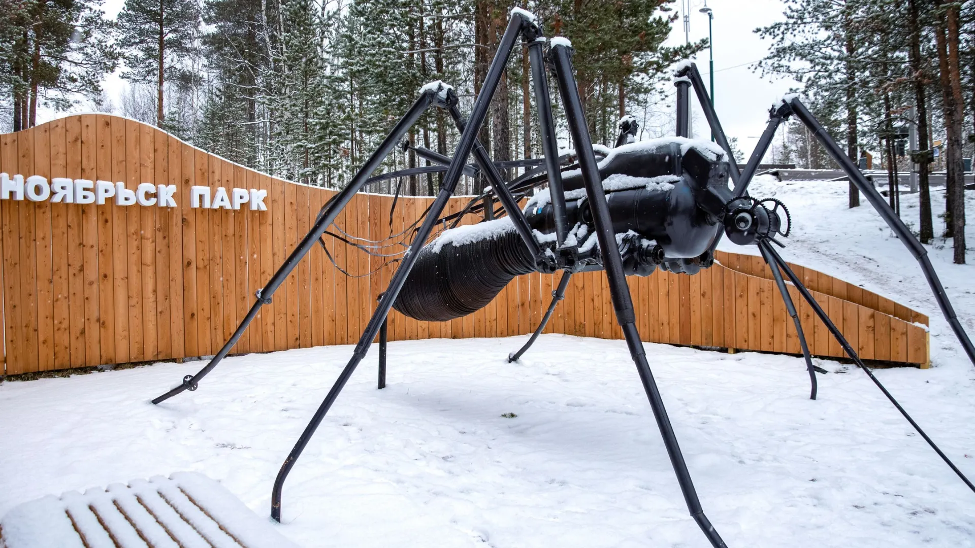 Фото: Юрий Здебский / «Ямал-Медиа»