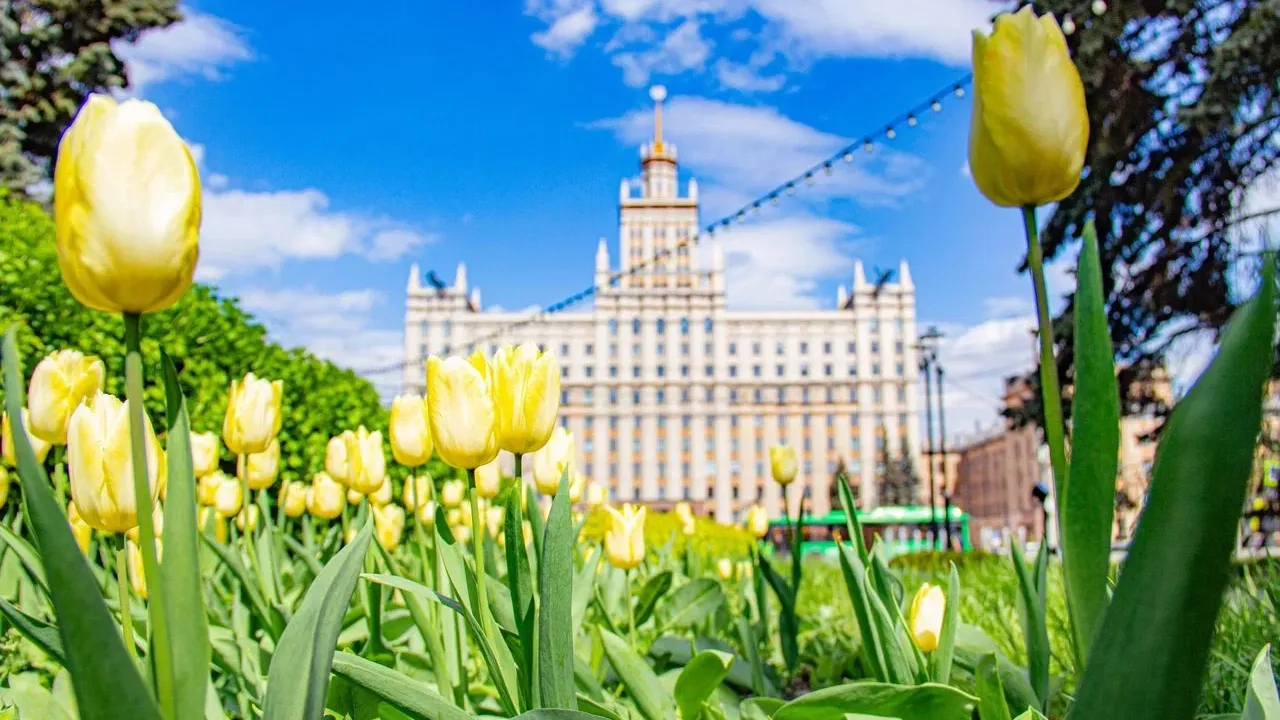 Фото предоставлено пресс-службой ЮУрГУ