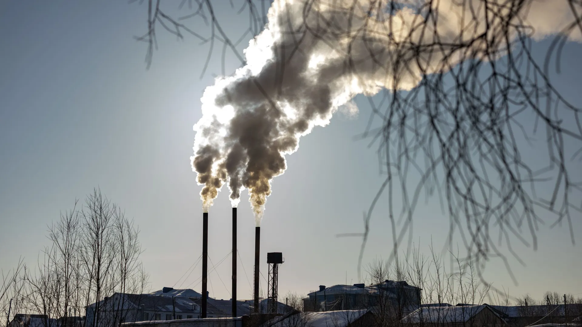 Фото: Сергей Зубков / «Ямал-Медиа»