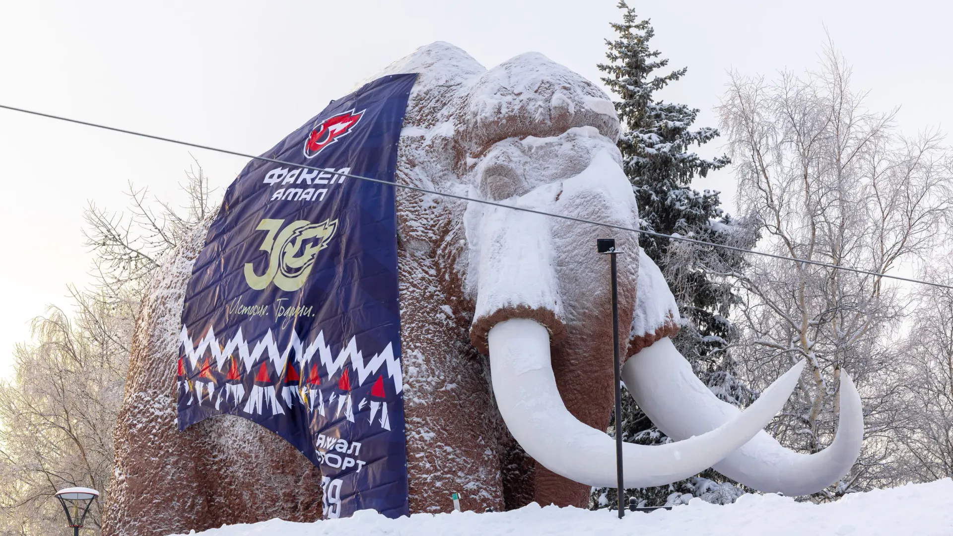 Фото: Никита Погодин / «Ямал-Медиа»