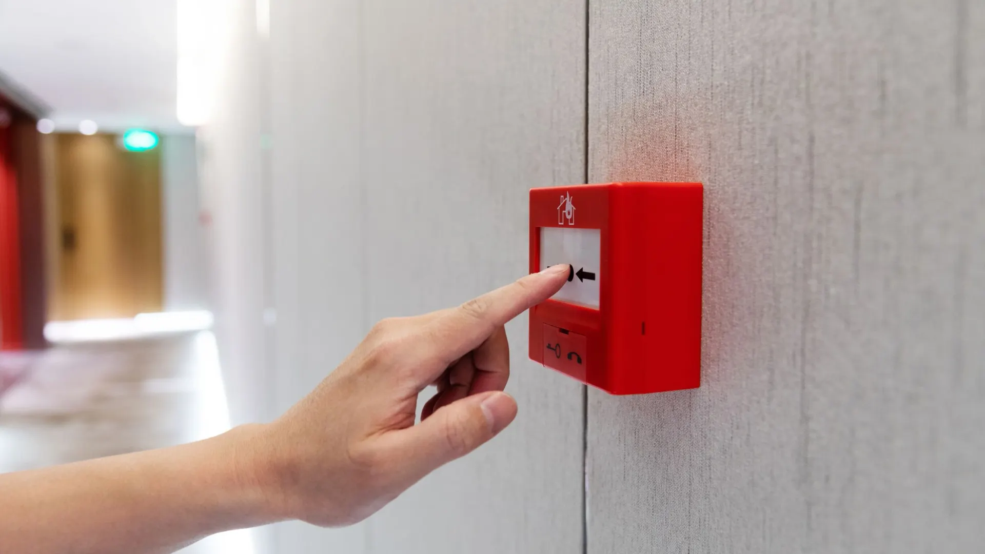 Фото: hxdbzxy/Shutterstock/Fotodom