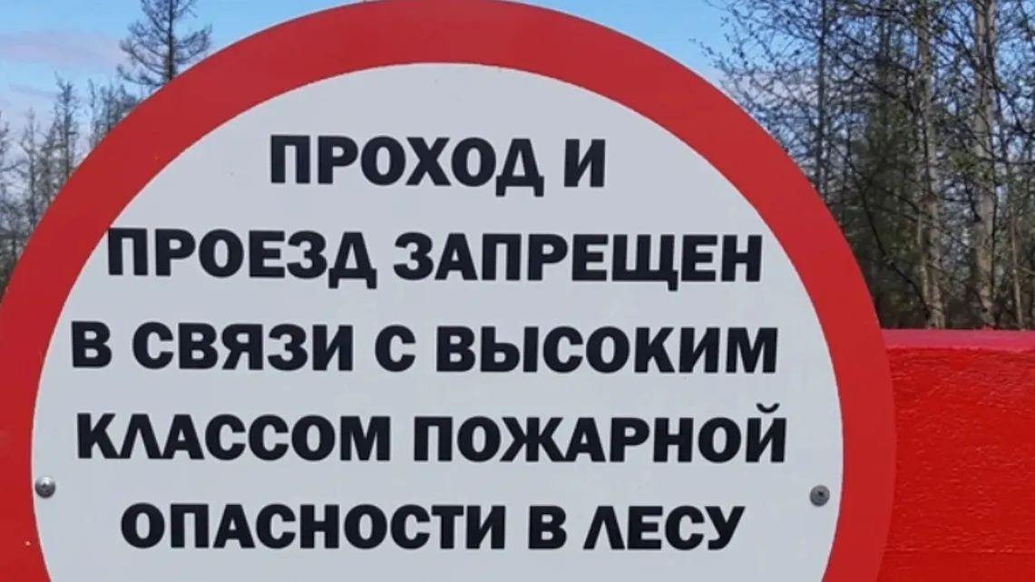 Фото предоставлено пресс-службой губернатора ЯНАО