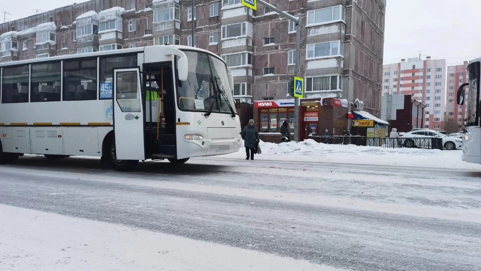 Автобус сбил на зебре женщину-пешехода. Фото предоставлено Госавтоинспекцией Нового Уренгоя