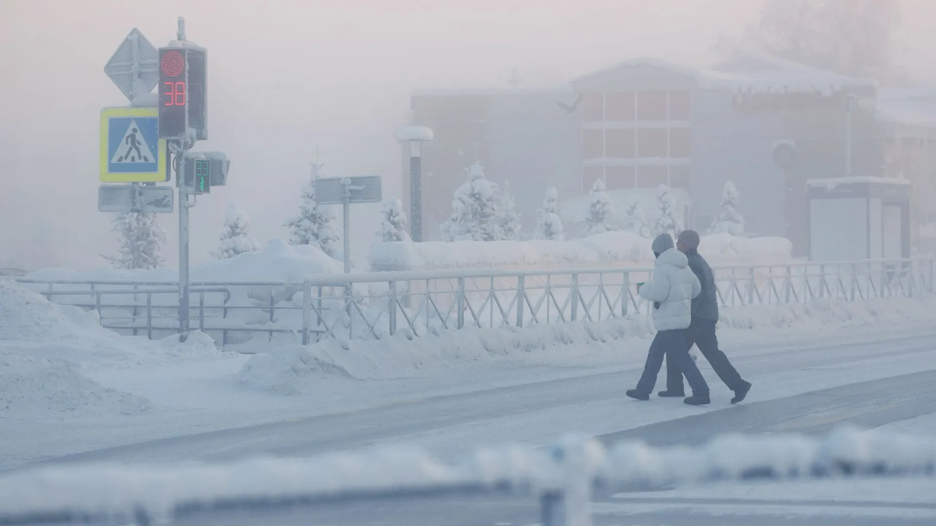 Фото: Андрей Ткачев / «Ямал-Медиа»