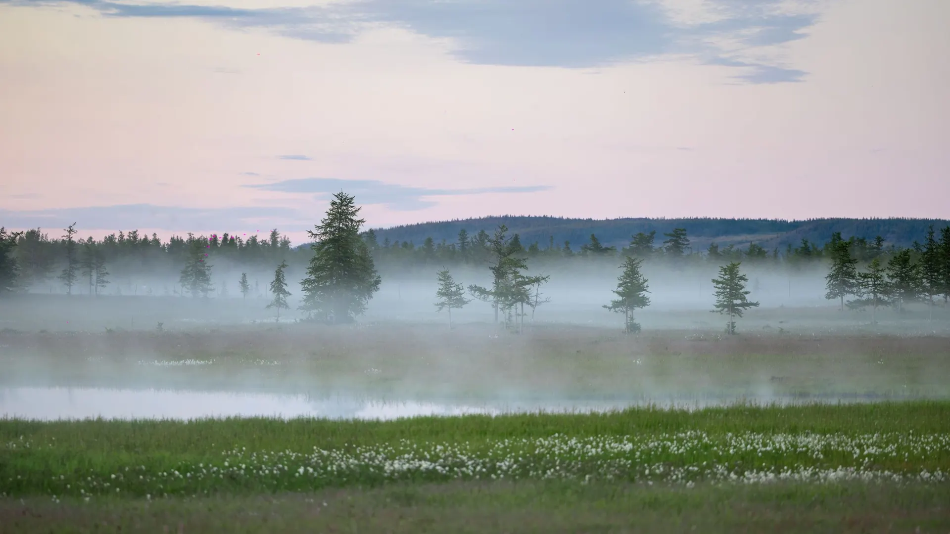 Фото: Юлия Чудинова / «Ямал-Медиа»