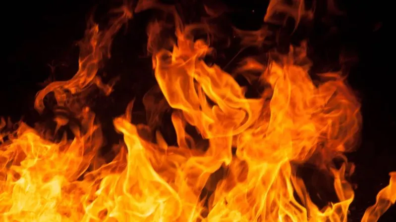 Фото: Ph.bySian / Shutterstock / Fotodom