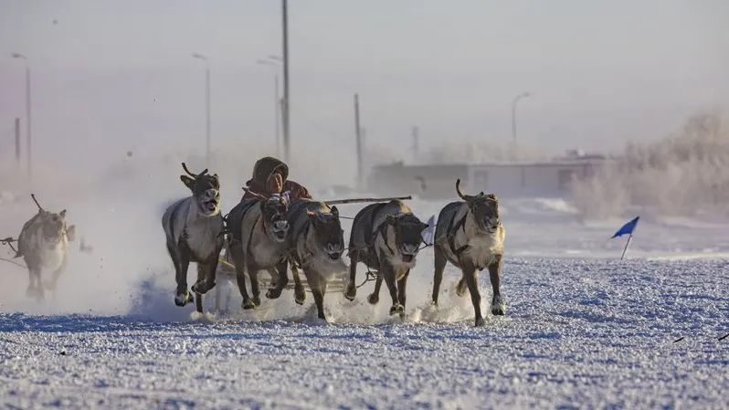 Фото: Никита Погодин / «Ямал-Медиа»