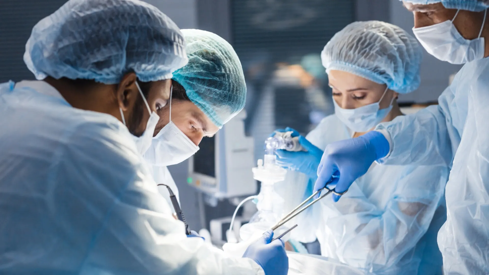 Фото: UfaBizPhoto/Shutterstock/Fotodom