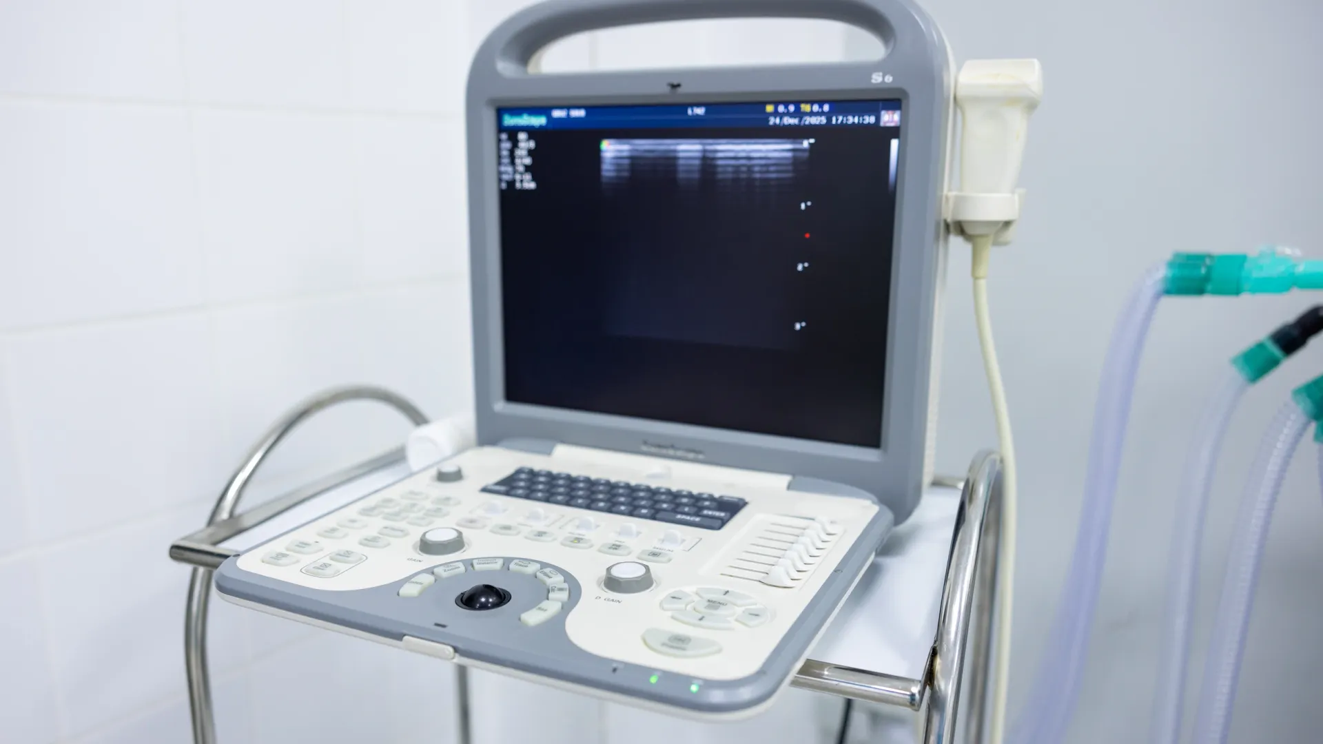 Фото: Федор Воронов / «Ямал-Медиа»