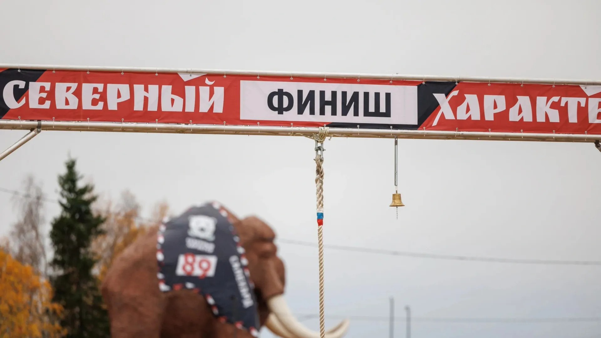 Фото: Юлия Чудинова / «Ямал-Медиа»