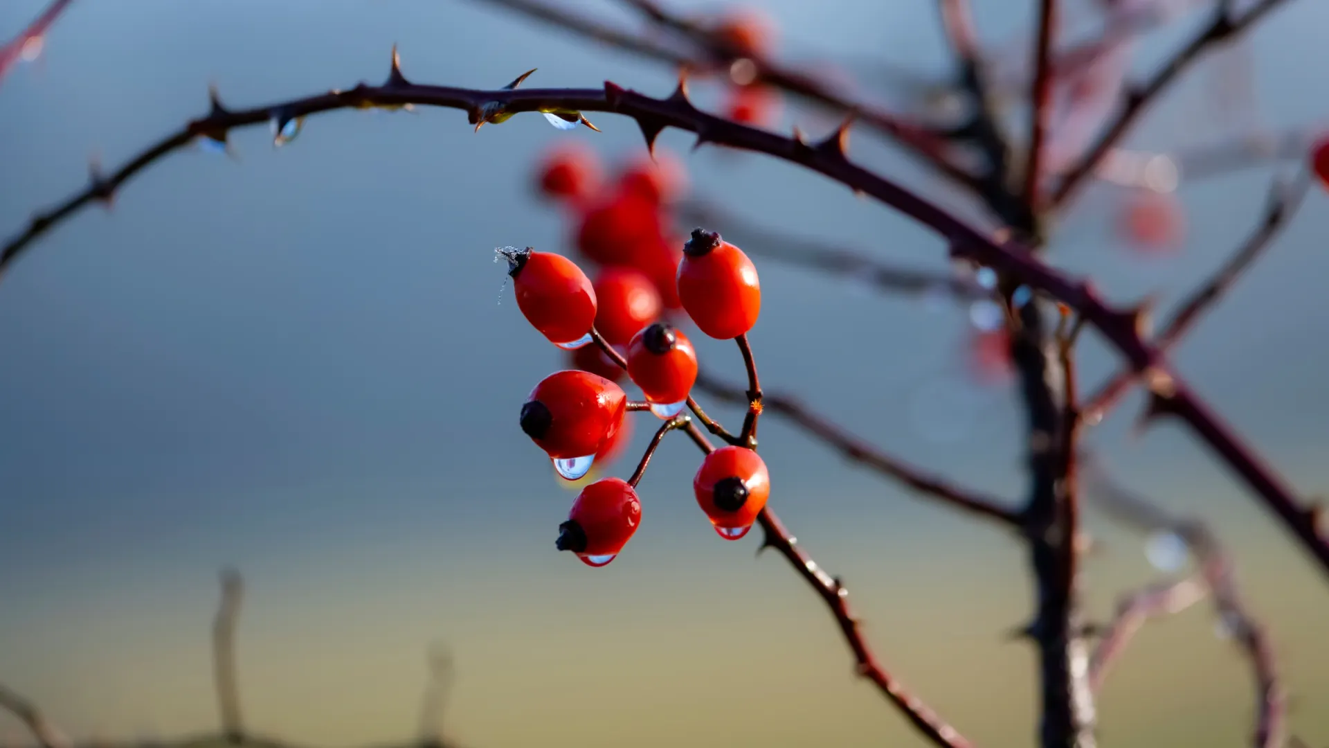 Фото: ON-Photography Germany / Shutterstock / Fotodom