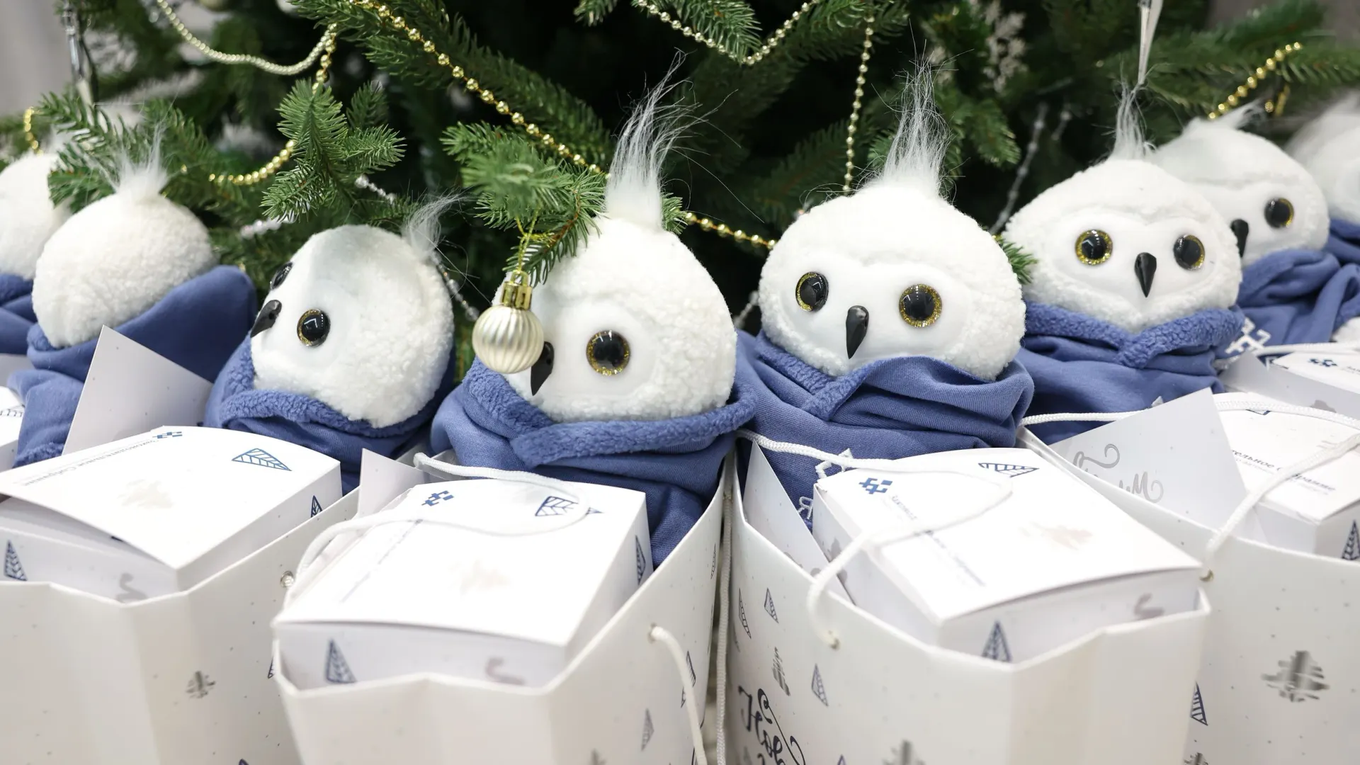 Фото: Андрей Ткачев / «Ямал-Медиа»