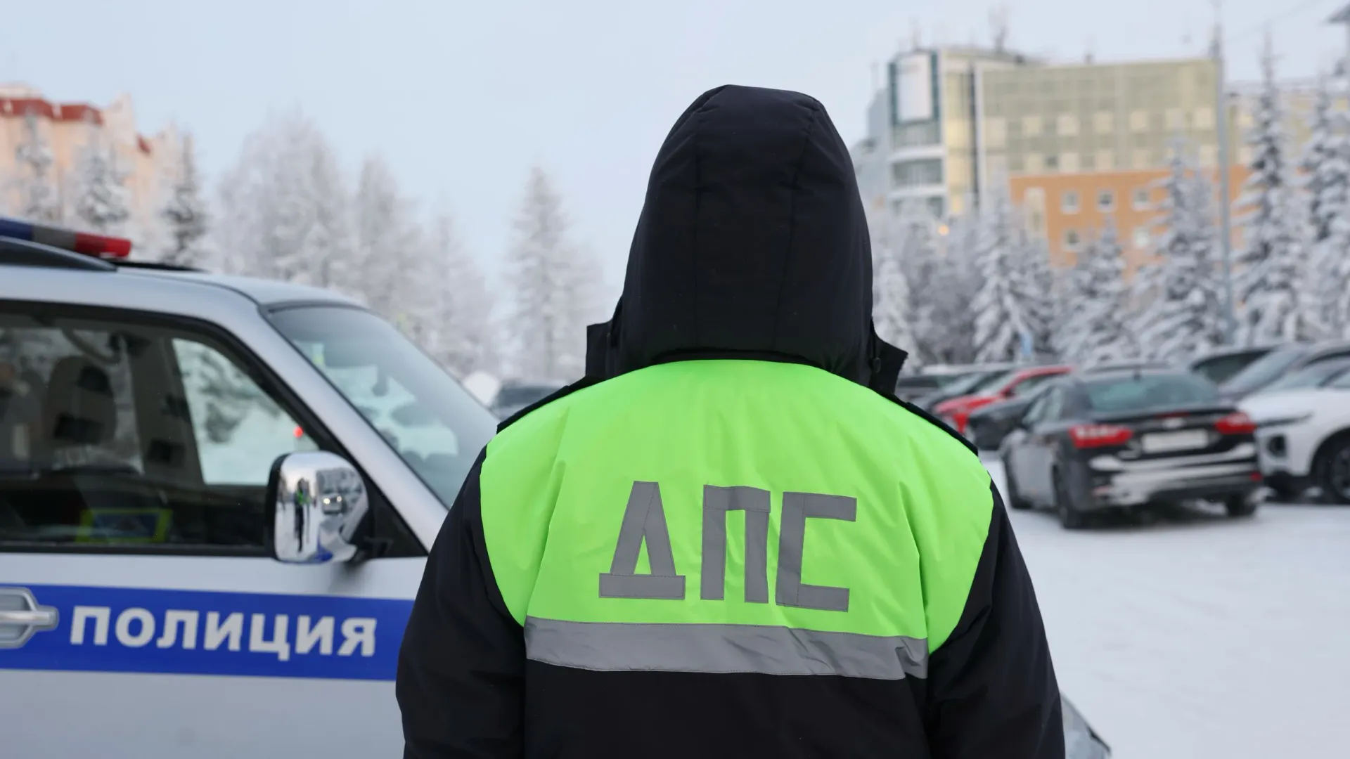 Фото: Андрей Ткачев / «Ямал-Медиа»