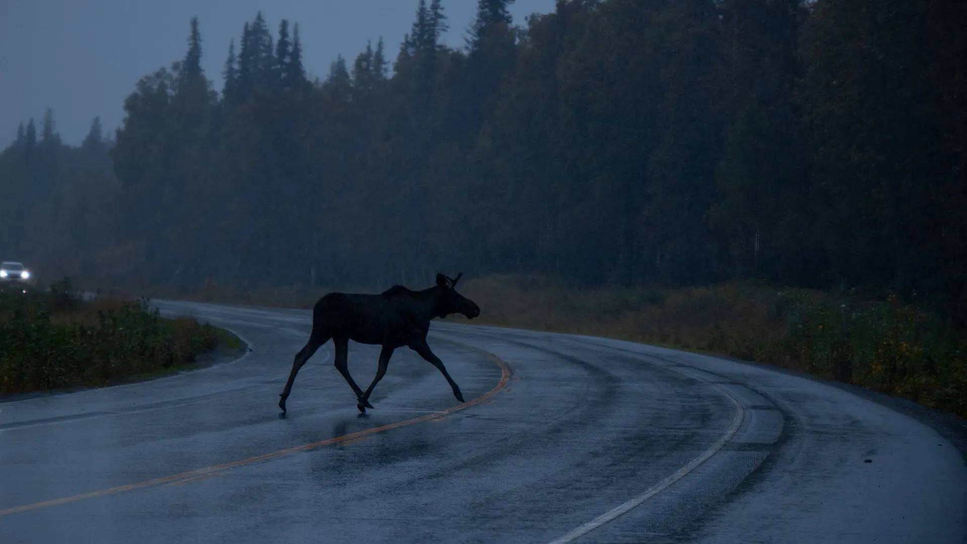 Фото: rybarmarekk/Shutterstock/Fotodom